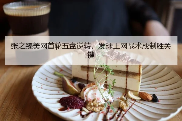 张之臻美网首轮五盘逆转，发球上网战术成制胜关键
