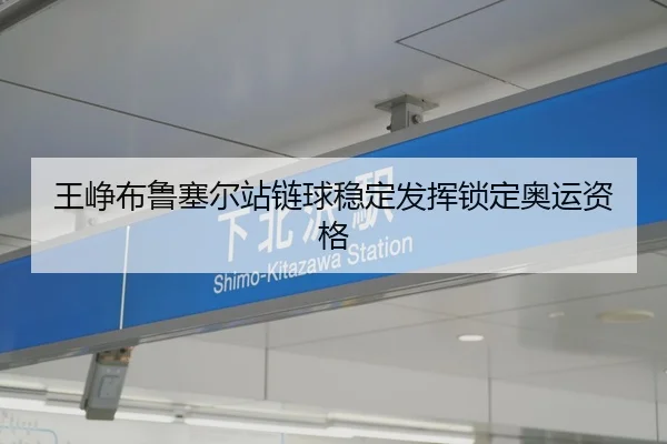 王峥布鲁塞尔站链球稳定发挥锁定奥运资格