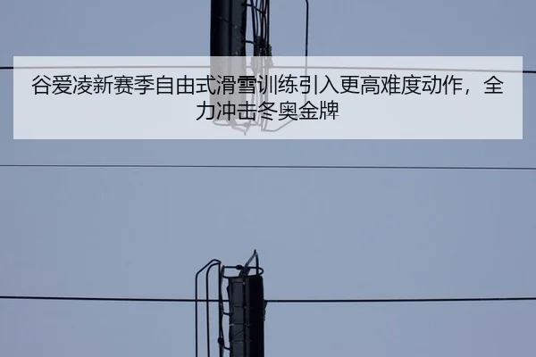 谷爱凌新赛季自由式滑雪训练引入更高难度动作，全力冲击冬奥金牌