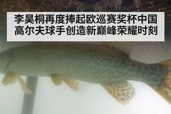 李昊桐再度捧起欧巡赛奖杯中国高尔夫球手创造新巅峰荣耀时刻
