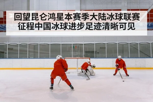 Chinese ice hockey team